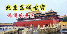 大鸡吧操美女大逼视频中国北京-东城古宫旅游风景区